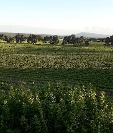 Le Marquisat De Charme En Minervois